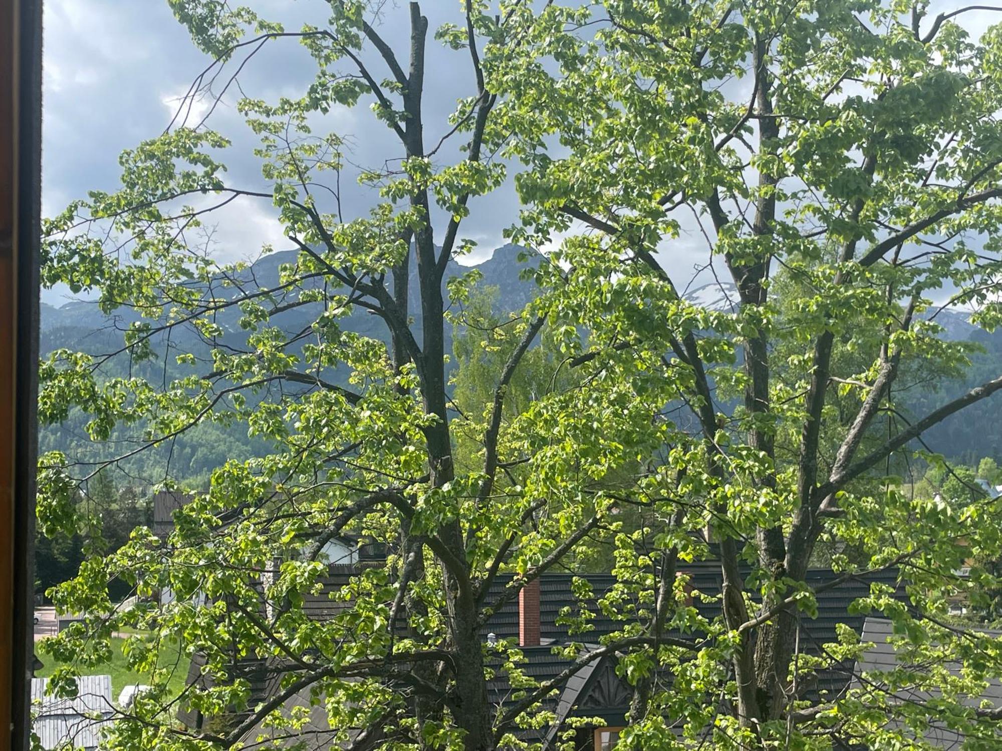 Apart-Center Zakopianskie Tarasy Spa Zakopane Buitenkant foto